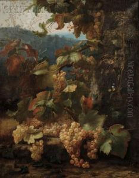 Landscape With Grapes On The Vine Oil Painting by Alexis Kreyder