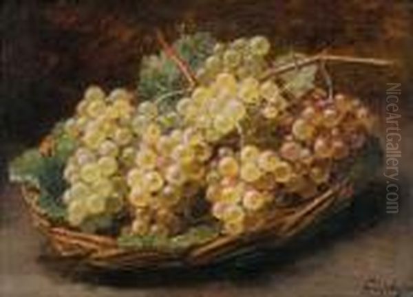 Corbeille De Raisins Blancs Oil Painting by Alexis Kreyder