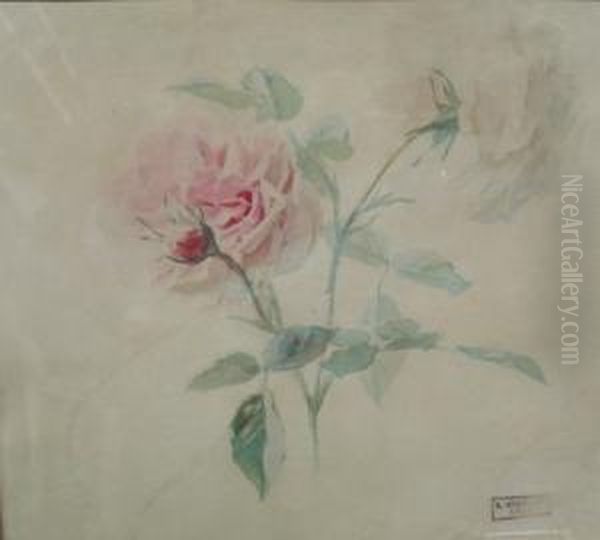 Etude De Roses Oil Painting by Alexis Kreyder