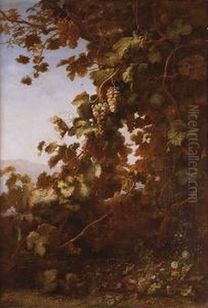 Parra Con Uvas, Insectos, Frutas Y Flores 1873 Oil Painting by Alexis Kreyder