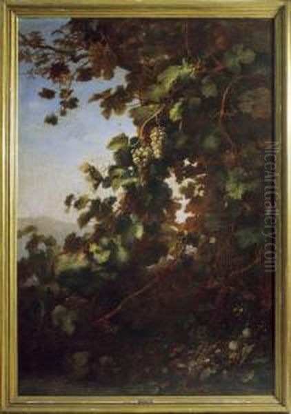 Les Raisins Et La Vigne Oil Painting by Alexis Kreyder