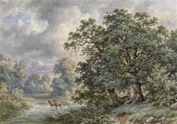 Aulandschaft Mithirschen Oil Painting by Josef Kriehuber