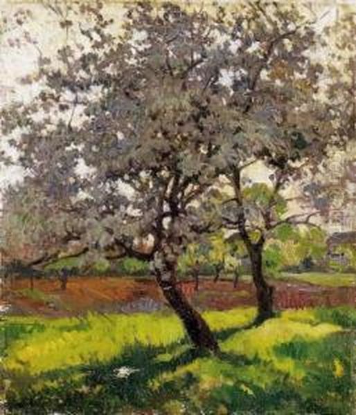 Trees In Spring Oil Painting by Janos Krizsan