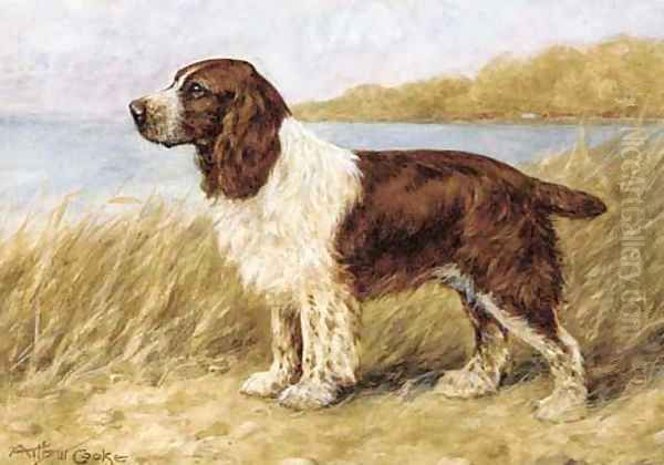 A cocker spaniel Oil Painting by A.C. Cooke