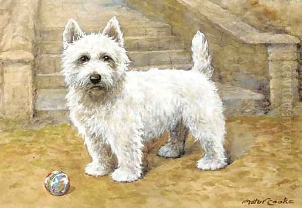 A westie Oil Painting by A.C. Cooke