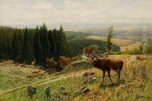 Rohrender Hirsch Oil Painting by Christian Johann Kroner