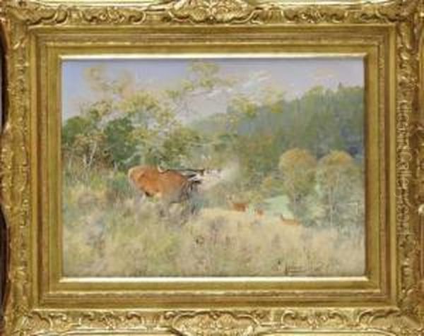 Cerf Dix Cornes Au Brame Oil Painting by Christian Johann Kroner