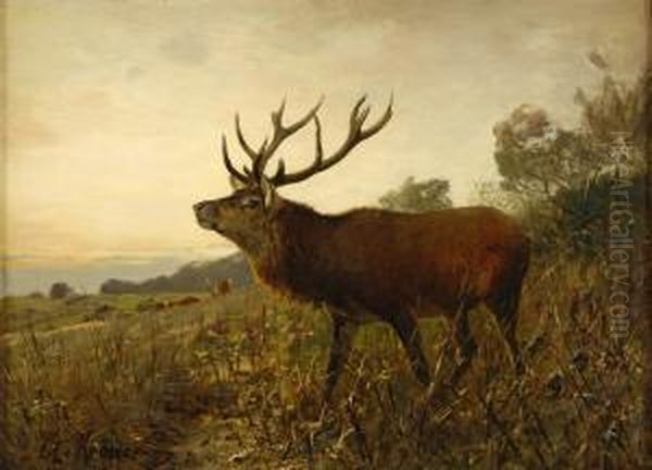 Kapitaler Hirsch. Oil Painting by Christian Johann Kroner