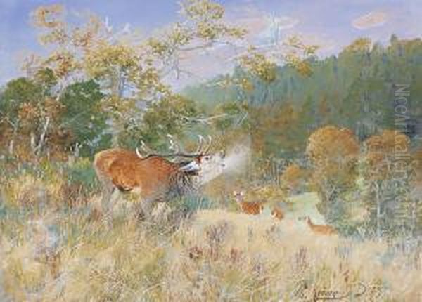 Cerf Qui Brame Oil Painting by Christian Johann Kroner