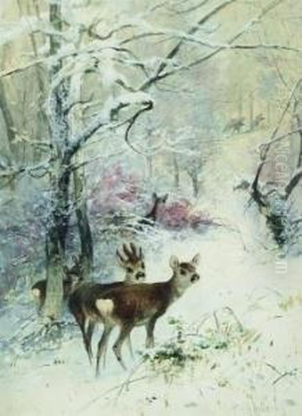 Rehe Im Winterwald Oil Painting by Christian Johann Kroner