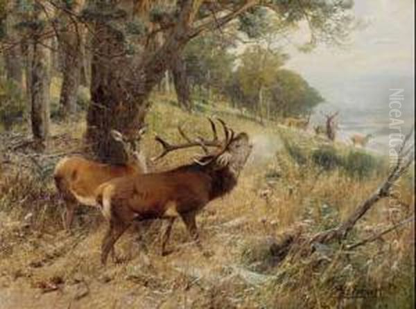 Hirschbrunft. Oil Painting by Christian Johann Kroner