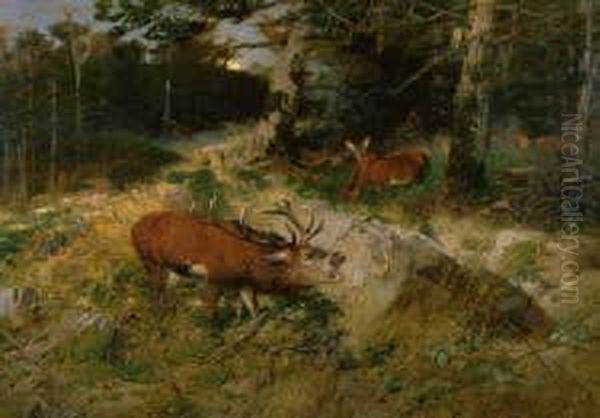 Herbstliche 
Mittelgebirgslandschaft Mit Rohrendem Hirsch. Signiert Und Datiert Unten
 Rechts: Ch. Kroner Dus 95. Ol Auf Leinwand. H 135; B 170 Cm. Oil Painting by Christian Johann Kroner