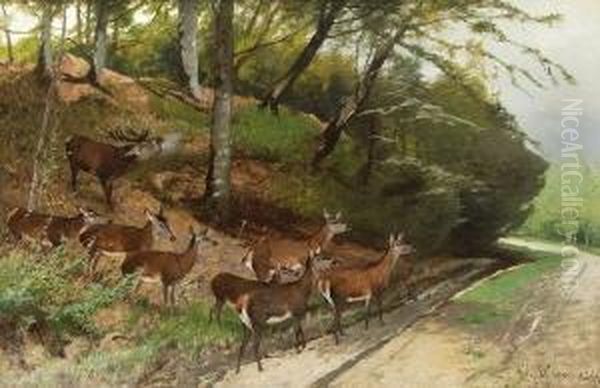 Hirsch Und Hirschkuhe An Einem
 Waldweg. Oil Painting by Christian Johann Kroner