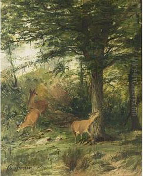 A Wooded Landscape With Deer Oil Painting by Christian Johann Kroner