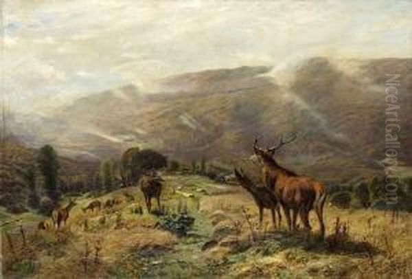 Hochwild In
 Gebirgslandschaft. Oil Painting by Christian Johann Kroner