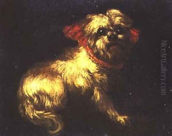 A Maltese Terrier Oil Painting by Pier Francesco Cittadini