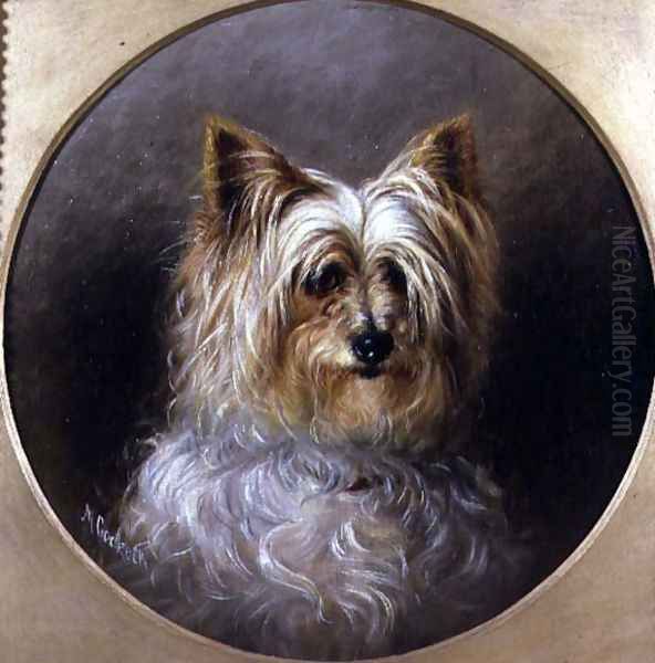 Head study of a Yorkshire terrier Oil Painting by M. Cocker