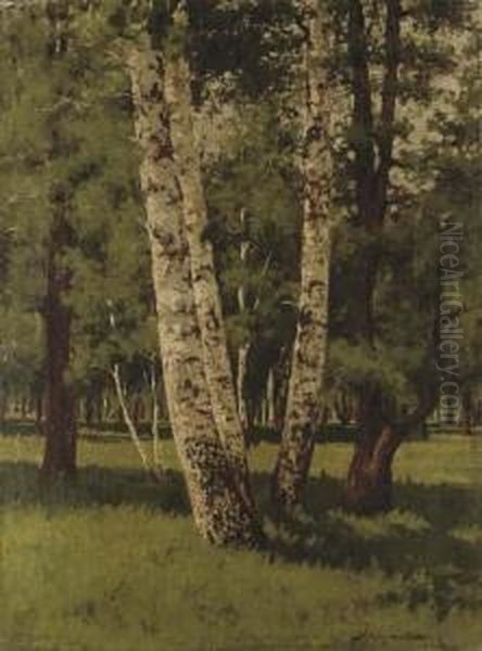 Birch Trees Oil Painting by Arkhip Ivanovich Kuindzhi