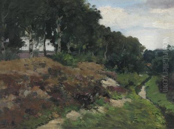 Sandroad Along A Forrest Oil Painting by Cornelis Kuypers