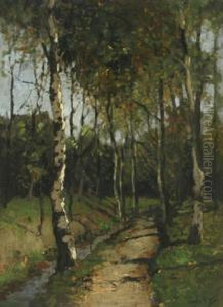 Birches By A Brook Oil Painting by Cornelis Kuypers