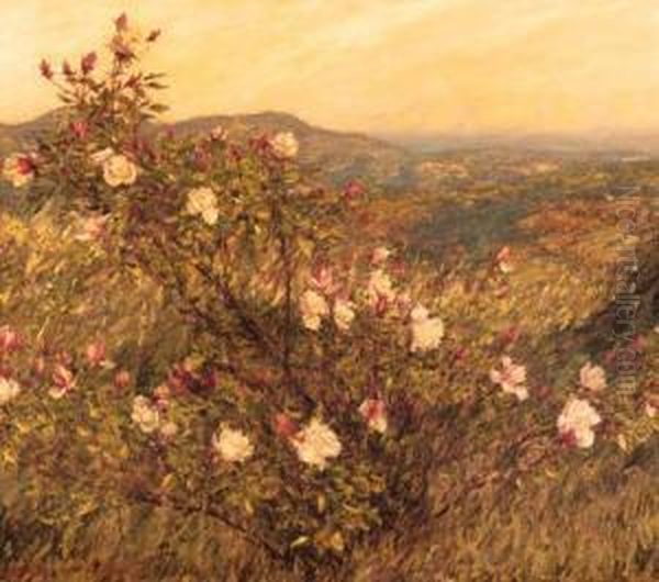 Neglected Roses, Provence Oil Painting by Henry Herbert La Thangue