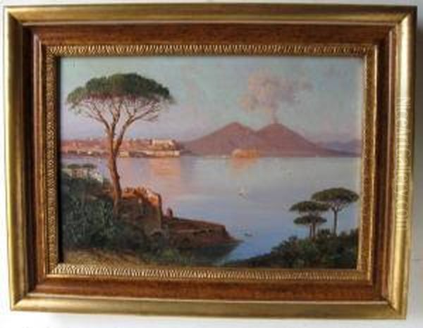 Veduta Di Napoli Con Il Vesuvio Oil Painting by Alessandro la Volpe