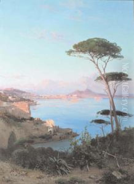 Il Golfo Di Napoli Oil Painting by Alessandro la Volpe