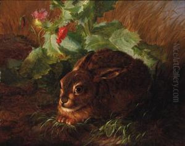 A Rabbit In Long Grass Oil Painting by Andreas Lach