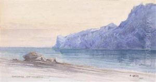 Gardasee, Cap Maderno Oil Painting by Fritz Lach