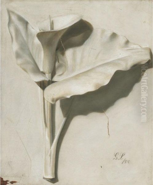 Calla Lily Oil Painting by George Cochran Lambdin