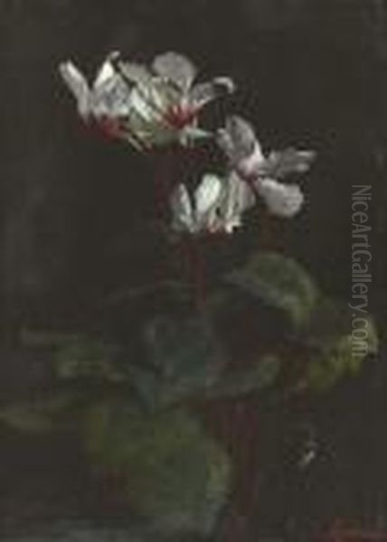 Cyclamen Oil Painting by George Cochran Lambdin