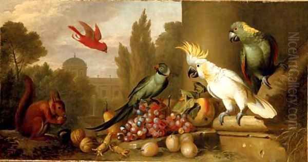 A Cardinal, a Plum-Headed Parakeet, a Lesser Sulphur-Crested Cockatoo, a Yellow-Naped Amazon Oil Painting by Jakob Bogdani Eperjes C