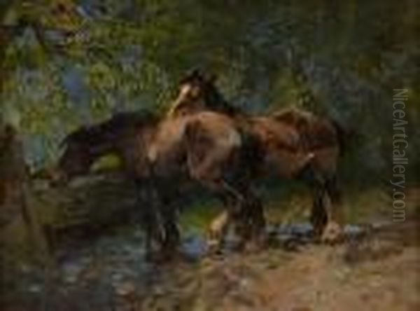 Horses Watering Oil Painting by William Bradley Lamond