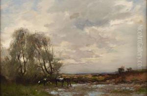 Cattle Watering At Dusk Oil Painting by William Bradley Lamond