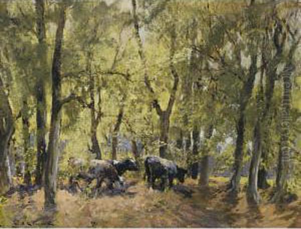 Shaded Grazing; A Moment At Rest Oil Painting by William Bradley Lamond