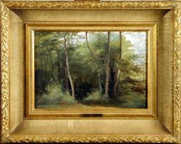 Sous-bois Oil Painting by Jean-Pierre-Francois Lamoriniere