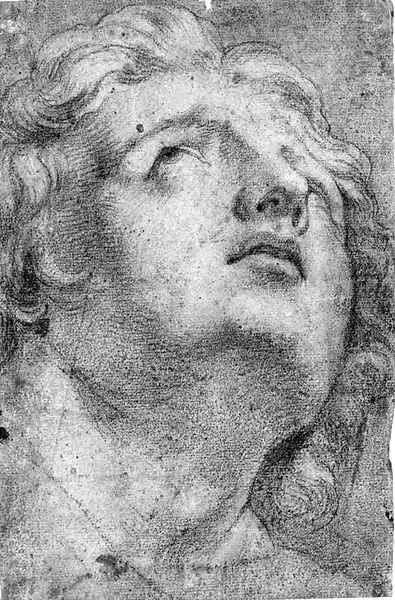 The head of Alexander the Great Oil Painting by Annibale Carracci