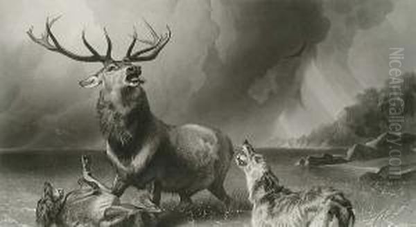 After Sir Edwin Landseer, The Stag At Bay by Thomas Landseer