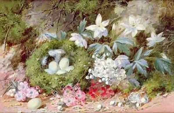 Still Life with Birds Nest Oil Painting by William Cruikshank