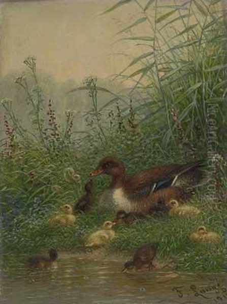 Entenmutter Mit Kuken Am Ufer Oil Painting by Fritz Lange