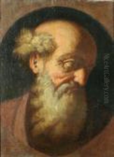 Study Of Head Oil Painting by Giovanni Battista Langetti