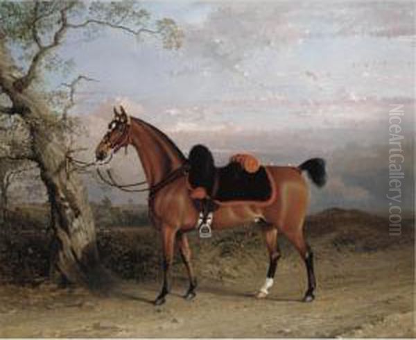 A Charger Belonging To An Officer In The 3rd Dragoon Guards Oil Painting by George Henry Laporte