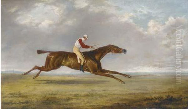 Sam, A Racehourse With Jockey Up Oil Painting by George Henry Laporte