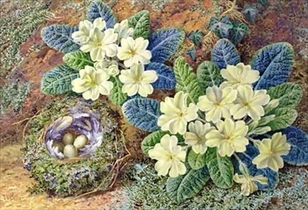 Primroses and a birds nest Oil Painting by Thomas Frederick Collier