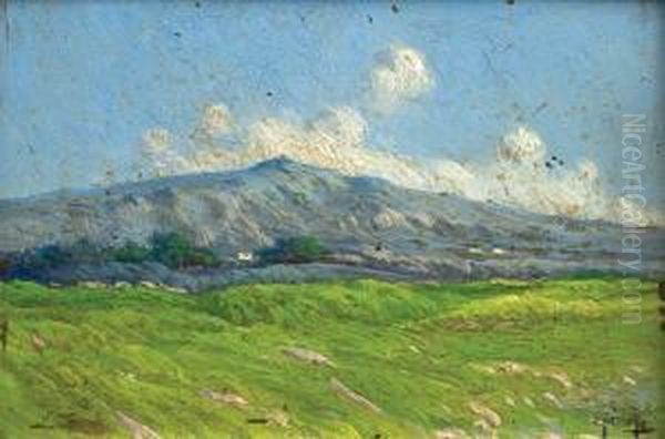 Paisaje De Campo Con Montana Oil Painting by Ernesto Laroche