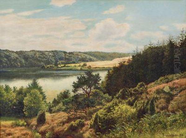 Blick Uber Einen See Oil Painting by Adolf Larsen