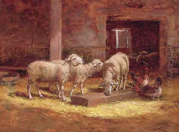 Sheep and chickens in a barn Oil Painting by Charles Clair