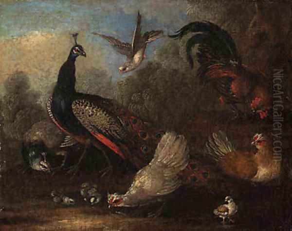 A Peacock, a peahen, chickens and a dove in a landscape Oil Painting by Marmaduke Cradock