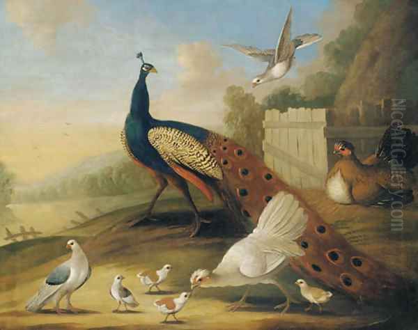 A peacock, doves and chickens in a wooded river landscape Oil Painting by Marmaduke Cradock