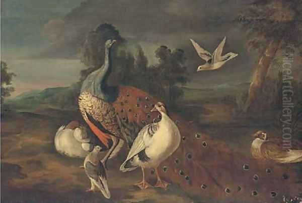 A peacock, woodpigeons and other fowl in an extensive landscape Oil Painting by Marmaduke Cradock